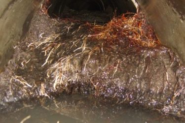cctv-roots-800x420